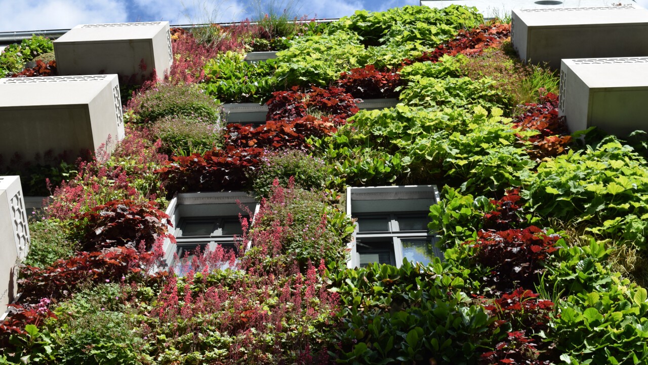 Greened facade