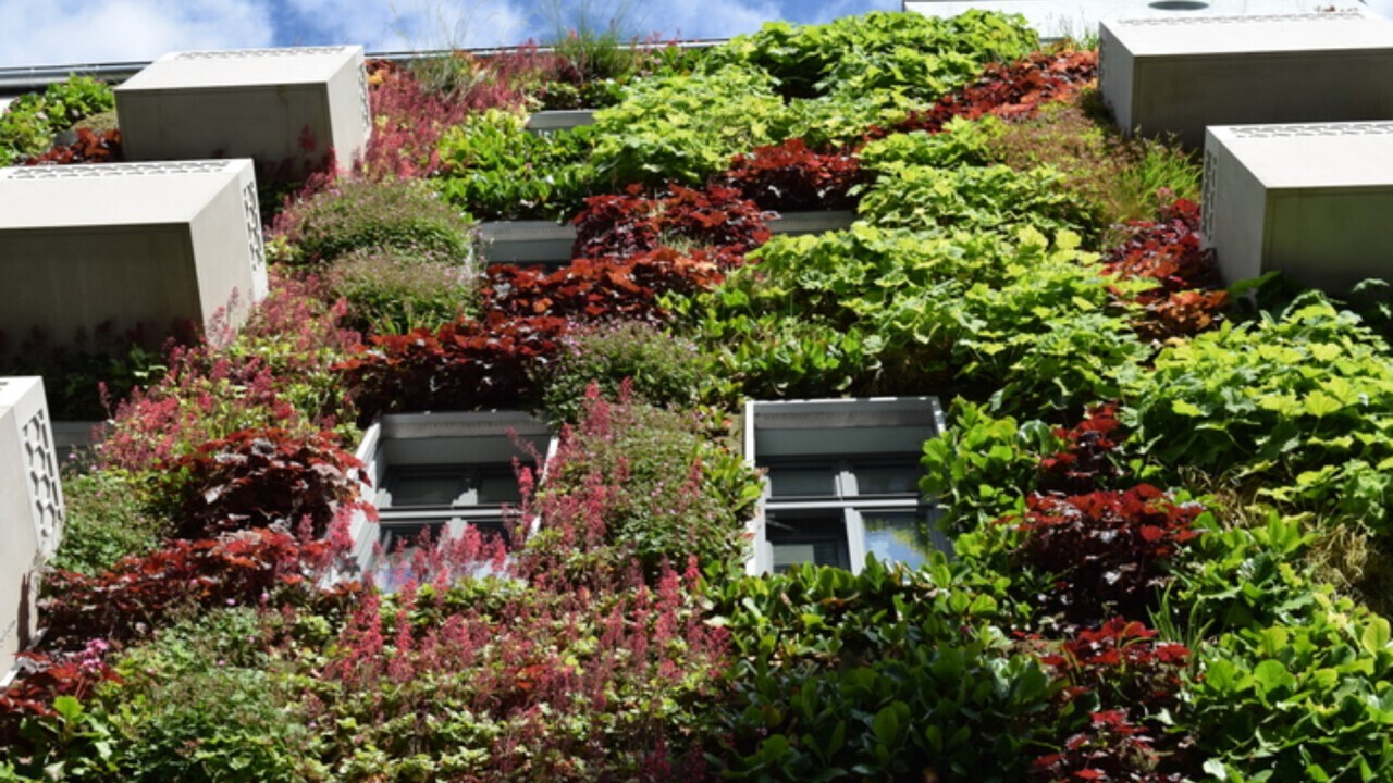 Application example of façade greening in Berlin Glogauerstraße - building resiliently, smartly and aesthetically today and in the future. (Photo: ProfiTec/Meffert, Bundesverband GebäudeGrün) Profitec/Meffert